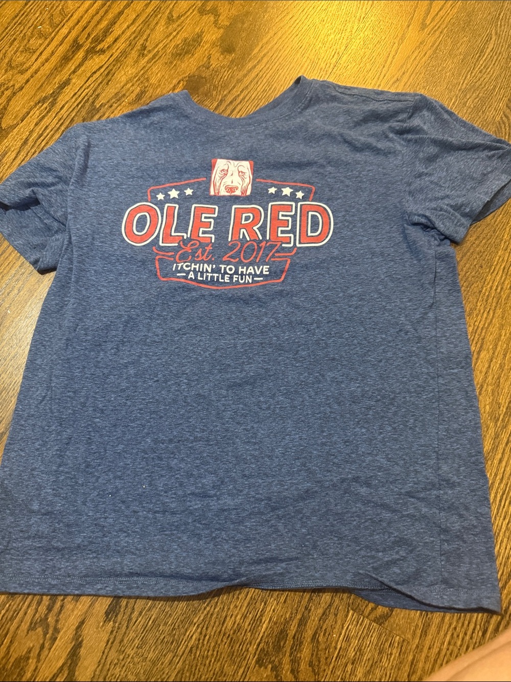 Kids' Short Sleeve Graphic Tee in Heather Blue
